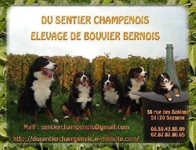 Du Sentier Champenois